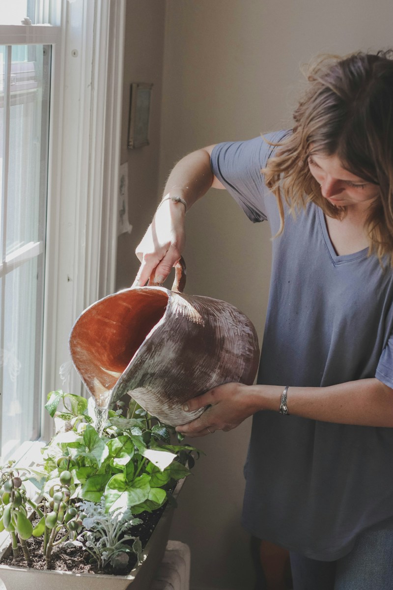 Unlock the Power of Nature with Our Medicinal Garden Kit: A Comprehensive Guide